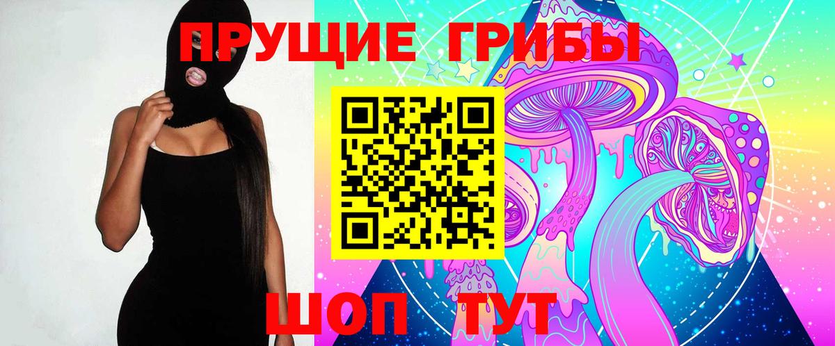 Псилоцибиновые грибы мухоморы  Псилоцибиновые грибы Psilocybe  Морозовск  Вход с VPN 