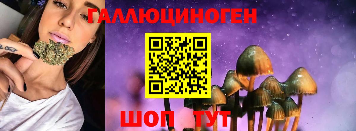 Галлюциногенные грибы Magic Shrooms Морозовск